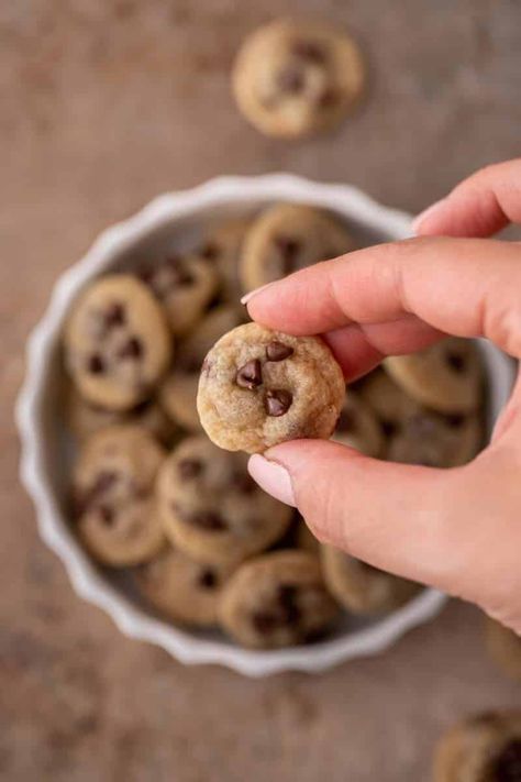 Tiny Chocolate Chip Cookies, Tiny Cookies Bite Size, Mini Chocolate Chip Cookies Recipe, Mini Cookie Recipe, Tiny Cookies, Tiny Desserts, Baking Organization, Lifestyle Of A Foodie, Mini Sweets