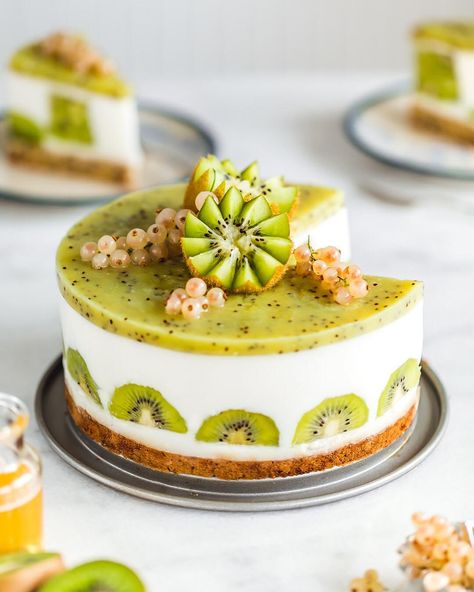 Basia Just on Instagram: “kiwi yoghurt cake 🥝 | vegan-friendly, gluten and refined sugar free . . . . . . .…” Kiwi Dessert, Kiwi Cake, Yoghurt Cake, Sbs Food, Raw Cake, Yogurt Cake, Healthy Cake, Cake Lover, Vegan Cake