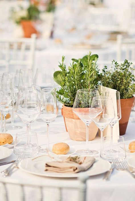 rustic potted herbs wedding centerpiece / http://www.himisspuff.com/potted-plants-wedding-decor-ideas/9/ Herb Wedding Centerpieces, Herb Centerpieces, Tie Photography, Tuscany Italy Wedding, Herb Wedding, Plant Centerpieces, Rustic Wedding Decorations, Outdoor Dinner Parties, Outdoor Dinner