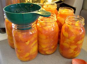 Peach Pie filling...mmm! I like my canned cherry pie filling and this I'd like to try too! Canning Peach Pie Filling, Squash Pickles, Canning Peaches, Peach Pie Recipes, Canning 101, Canning Fruit, Peach Pie Filling, Canning Food Preservation, Canned Food Storage