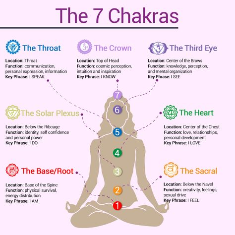 Chakra For Beginners, Chakra Meanings, Rare Tattoos, Chakra Healing Meditation, Chakra Health, The Seven Chakras, The 7 Chakras, Spiritual Psychology, Tattoos Men