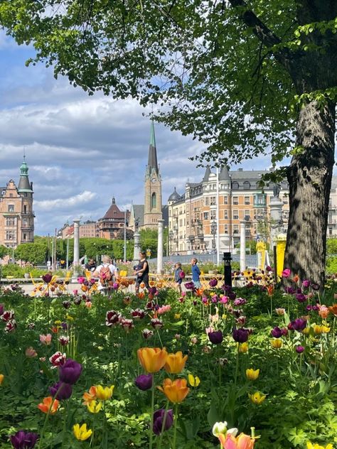 Scandinavia Summer Aesthetic, Sweden Travel Summer, Copenhagen In Spring, Spring In Sweden, Stockholm Sweden Summer, Summer In Stockholm, Stockholm In Summer, Living In Sweden, Stockholm Summer Aesthetic