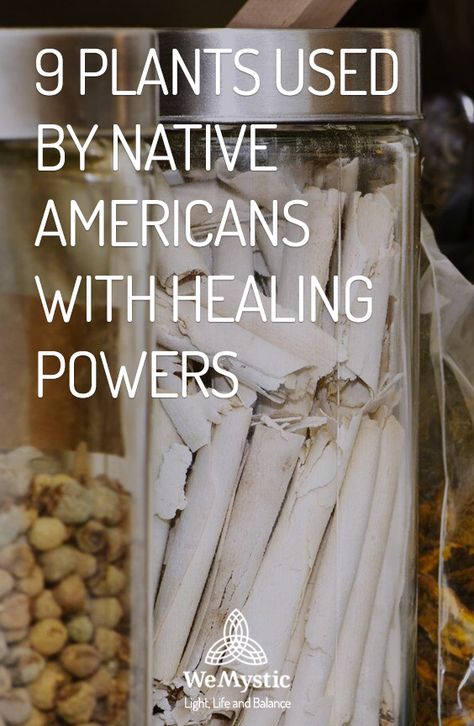 Native American Herbal Remedies, Native American Remedies, Mountain Plants, Native American Herbs, Farm Dream, Medicinal Weeds, Natural Medicine Cabinet, Native American Food, Herbal Remedies Recipes