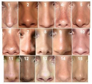 Different nose shapes, can be used as a reference in drawing a face. Types Of Nose, Different Nose Shapes, Nose Types, Body References, 얼굴 드로잉, Nose Drawing, Face Drawing Reference, Nose Shapes, Human Reference