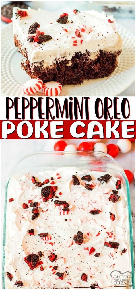 Oreo Poke Cake, Pudding Whipped Cream, Easy Christmas Cake, Peppermint Cookie, Chocolate Peppermint Cake, Easy Christmas Cake Recipe, Christmas Cake Recipe, Peppermint Dessert, Peppermint Recipes