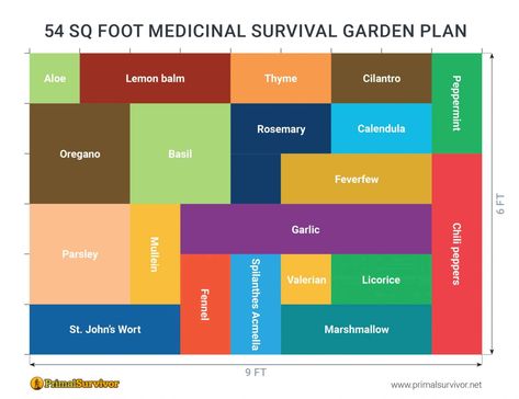 54 Square Foot Medicinal Garden Plan. In the past, people took care of their ailments with natural remedies that they could find or grow. Wouldn’t you like to grow your own medicine so you don’t have to rely on expensive pharmaceuticals (which may not always be available)? Here is a small medicinal survival garden plan to get you started. #medicinalgarden #layour #survivalhealth #primalsurvivor Produce Garden, Homestead Layout, Medicine Garden, Medicinal Herbs Garden, Medicinal Garden, Backyard Garden Layout, Types Of Herbs, Garden Plan, Survival Gardening