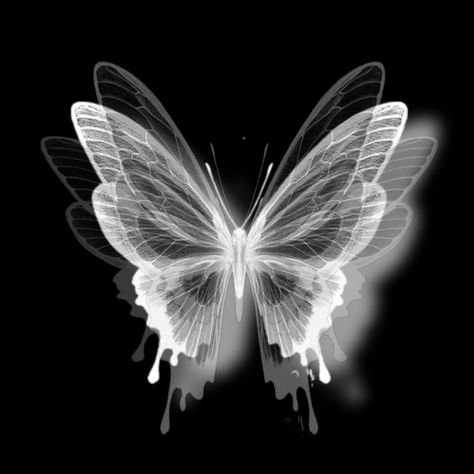 Photo Of Butterfly, Aesthetic Wallpaper Butterfly, Black And White Butterflies, Butterflies Aesthetic, Dark Butterfly, Butterfly Black And White, Zestaw Ikon, Widget Design, Butterfly Photos