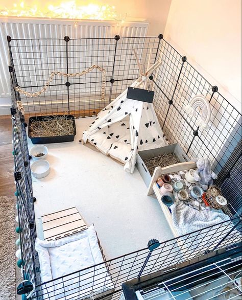 Home Made Rabbit Cage, Rabbit Enclosure Indoor Ideas, Cute Bunny Enclosure, Bunny Area Ideas, Bunny Play Pen Ideas, Bunny Enclosure Ideas, Rabbit Enclosure Ideas, Bunny Area Indoor, Rabbit Homes Indoor