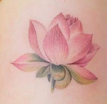 Pink Lotus Tattoo, Fine Tattoos, Lotus Tattoo Design, Beautiful Flower Tattoos, Tattoos For Women Flowers, Petite Tattoos, Mother Tattoos, Unique Tattoo Designs, Knee Tattoo