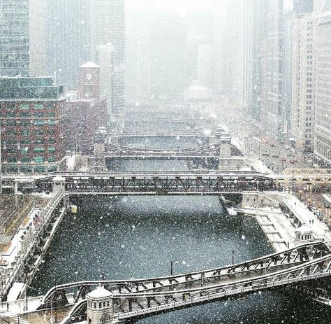 Snowy Chicago Winter Picture Ideas, Chicago In Winter, Christmas In New York Aesthetic, Chicago Snow, Fog Photography, Chicago Christmas, Winter Picture, Chicago Aesthetic, Chicago Winter