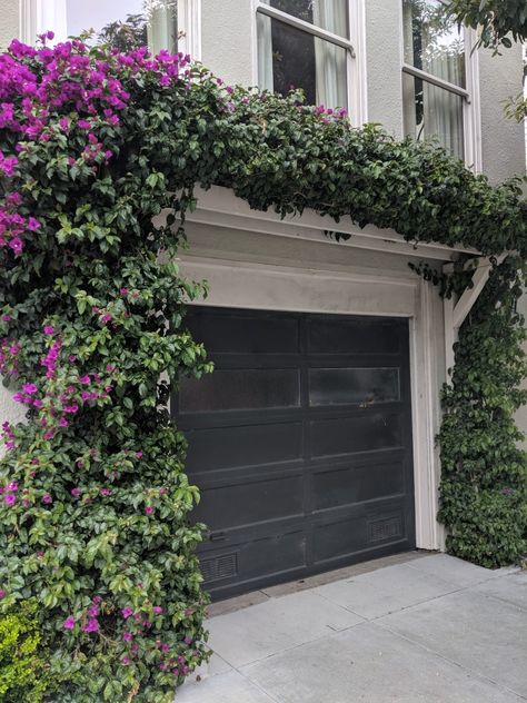 Vines Over Garage Door, Garage Vine Trellis, Vines Over Garage, Garage With Trellis, Garage Pergola With Vines, Plants On Side Of Garage, Diy Garage Trellis, Flowers In Front Of Garage, Front Porch Vines