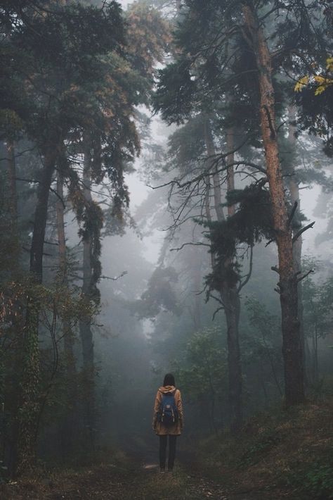 Photo Foggy Day, Alam Yang Indah, 인물 사진, Adventure Awaits, Beautiful World, In The Middle, The Great Outdoors, The Middle, Beautiful Nature