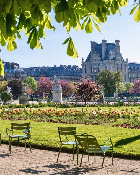 Weekend Links: Week 18 - Articles About France - Landen Kerr Ile De France, French Formal Garden, Gardens In Paris, April In Paris, Paris Garden, Paris In Spring, Spring In Paris, An American In Paris, Tuileries Garden