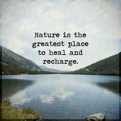 Nature Lover Quotes, Walking Quotes, Nature Quotes Inspirational, Therapy Quotes, Camping Quotes, 15th Quotes, Hiking Quotes, Lovers Quotes, About Nature