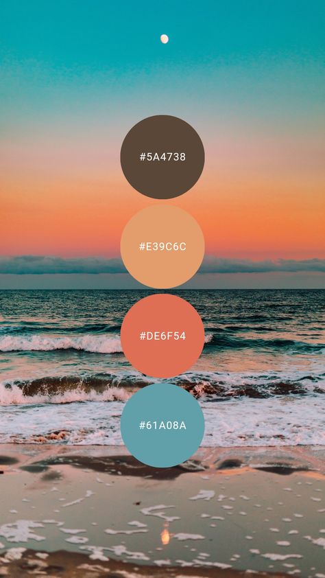 Florida Home Color Palette, Teal And Coral Colour Palette, Teal And Coral Bathroom Ideas, Sunset Inspired Decor, Aqua Blue Color Palette Colour Schemes, Color Palette Corals, Coral And Aqua Bedroom, Beach House Coral Colors, Beach Pallette Colour Palettes