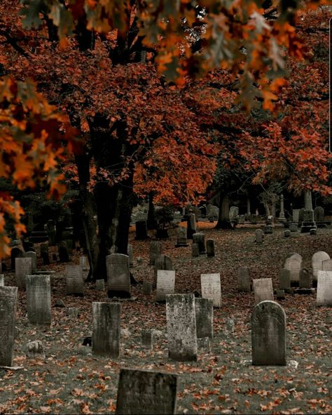 Gothic Autumn Aesthetic, Moody Autumn Aesthetic, The Dead Romantics Aesthetic, Halloween Core Aesthetic, Stephanie Aesthetic, October Aesthetic Spooky, Autumn Graveyard, October Core, The End Aesthetic