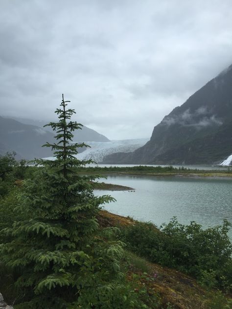 Nature, Juneau Alaska Photography, Alaskan Landscape, Alaskan Mountains, Alaska Aesthetic, Pnw Fall, Alaska Style, Alaskan Wildlife, Moving To Alaska