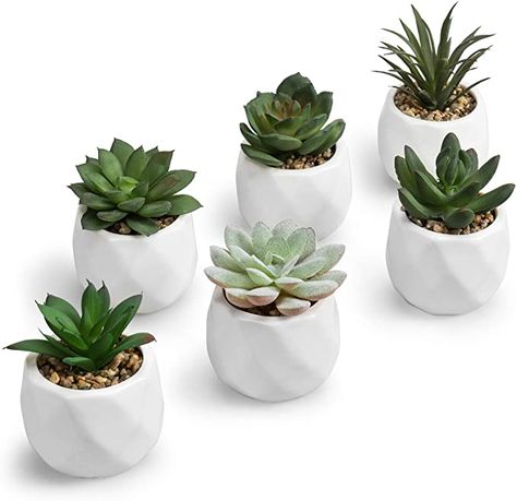 Amazon.com: MyGift Mini Assorted Artificial Succulents in White Ceramic Pots, Set of 6: Home & Kitchen Fake House Plants, White Ceramic Planter, Fake Plants Decor, Fake Succulents, Succulents Decor, Mini Succulents, Bedroom Plants, Artificial Succulents, Mini Plants