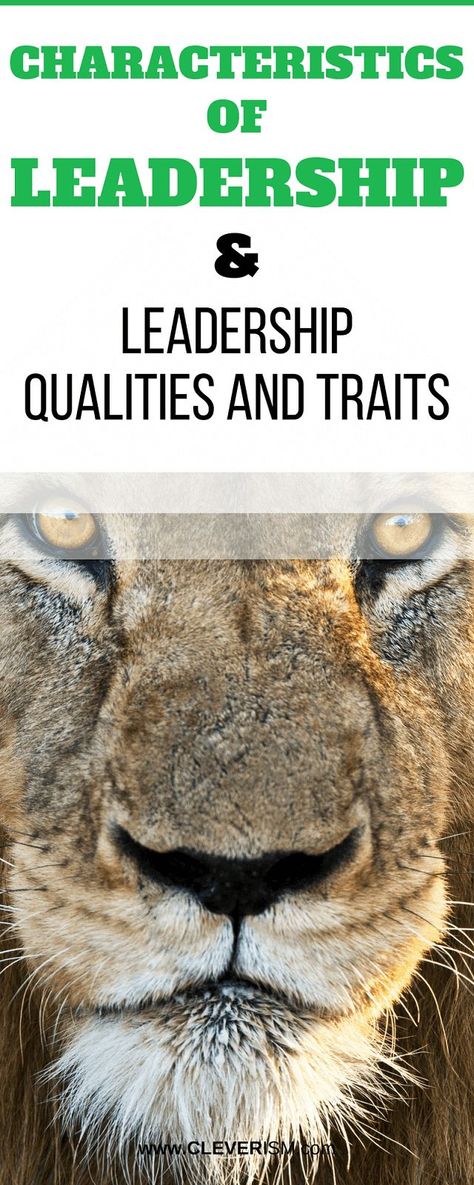 Characteristics of Leadership & Leadership Qualities and Traits - #Leadership #Leader #Leadershiptraits #LeadershipQualities Leadership Characteristics, Leadership Traits, Job Interview Advice, Leadership Development Program, Organization Development, Life Coach Certification, Life Coach Training, Leadership Lessons, Leadership Tips