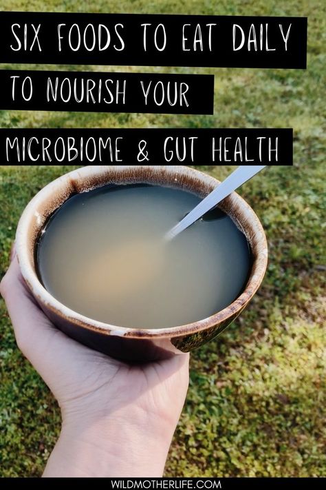 Microbiome Diet Recipes, Good For Gut Health, Foods For Gut Health, Microbiome Diet, Weston A Price, Healthy Gut Recipes, Gut Health Diet, Gut Healing Recipes, Nourishing Traditions