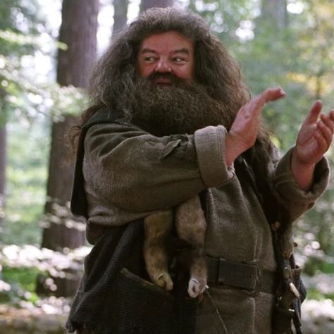 Rubeus Hagrid Costume Luna Lovegood, Robbie Coltrane, Hagrid Costume, Harry Potter Fancy Dress, Film Harry Potter, Hogwarts Christmas, Rubeus Hagrid, Harry Potter Quiz, The Prisoner Of Azkaban