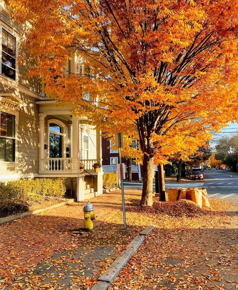 Salem, Massachusetts, USA Cozy Life Aesthetic, Fall Season Aesthetic, Autumn Feeling, Raking Leaves, Season Aesthetic, Fall Mood Board, Fall Inspo, Autumn Scenery, Fall Feels