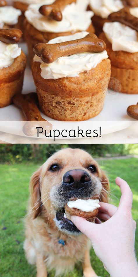 Dog Friendly Baked Goods, Dog Treats That Look Like Human Food, Fancy Dog Treats, Healthy Dog Cake Recipe, Healthy Dog Cake, Dog Cupcake Recipe, Dog Cake Recipe, Diy Dog Gifts, Dog Meals