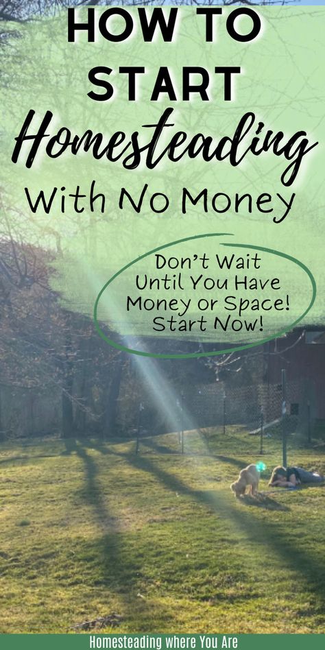 If you have a homesteading dream, don't wait until you have the space or money to begin. No matter where you are, you can start homesteading right now, even if you have no money. Here are some ideas on how to start homesteading with no money. Homestead Layout, Water Collection System, Farm Plans, Farm Layout, Urban Homesteading, Water Collection, Living Off The Land, Rain Water Collection, Sustainable Garden