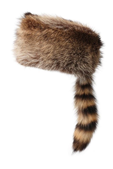 Raccoon Hat Aesthetic, Cool Hats Aesthetic, Davey Crockett, Raccoon Hat, Raccoon Tail, Ear Band, Davy Crockett, Rabbit Fur Hat, Piskel Art