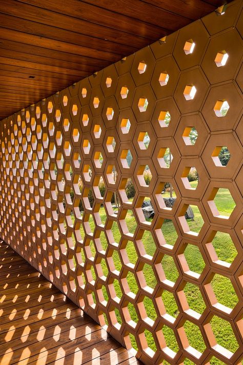 Honey Comb Architecture Concept, Parametric Design Pattern, Hexagon Architecture, Hexagonal Architecture, Patterns Architecture, Facade Pattern, Tv Fal, Parametric Architecture, Surat Gujarat