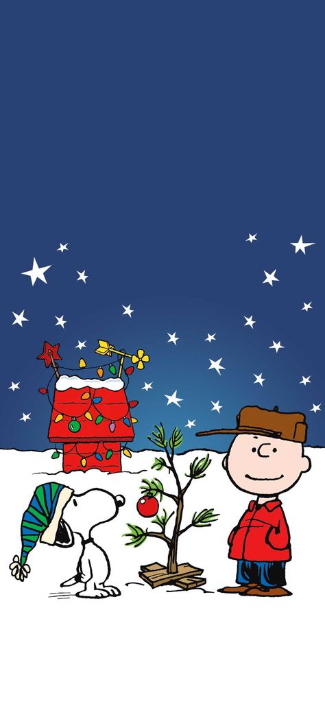 Charlie Brown Wallpaper, Wallpaper Snoopy, Peanuts Wallpaper, A Charlie Brown Christmas, Christmas Wallpaper Iphone Cute, Charlie Brown Tree, Charlie Brown Christmas Tree, 2560x1440 Wallpaper, Christmas Wallpaper Backgrounds