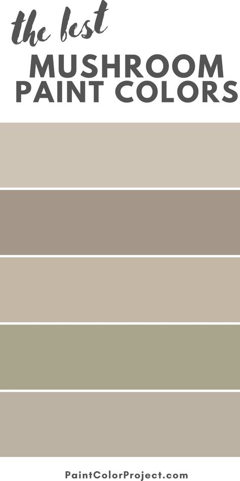 Want to paint your home a warm and cozy neutral? Let’s talk about mushroom paint colors, their undertones, coordinating colors, and the best mushroom paint colors! Mushroom Beige Paint Color, Mushroom Bedroom Colour, Mushroom Grey Paint, Benjamin Moore Mushroom Colors, Mushroom Color Accent Wall, Mushroom Color Kitchen, Mushroom Bathroom Color, Mushroom Paint Bedroom, Farrow And Ball Mushroom Paint