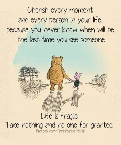 Pooh And Piglet Quotes, Piglet Quotes, Life Is Fragile, Winnie The Pooh Quotes, Pooh Quotes, Cherish Every Moment, Memories Quotes, Disney Quotes, Lesson Quotes