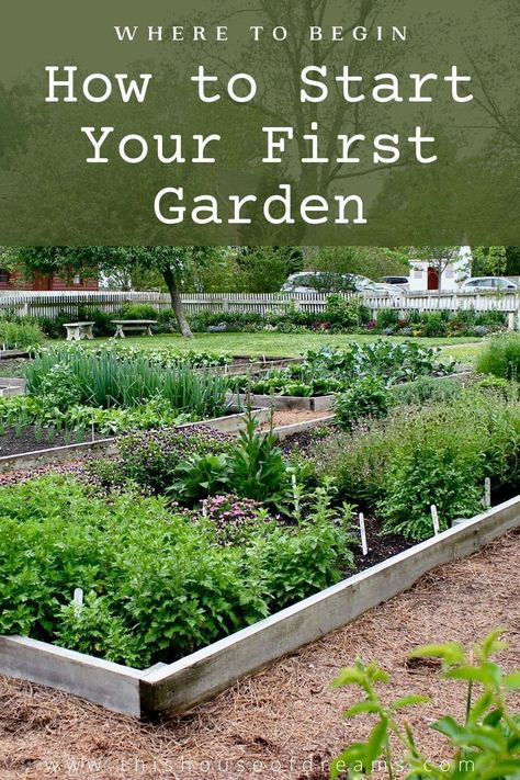 Garden Small Backyard, Easy Gardening Hacks, Above Ground Garden, Starter Garden, Start A Garden, First Garden, Backyard Layout, Garden Layout Vegetable, Vegetable Garden Planning