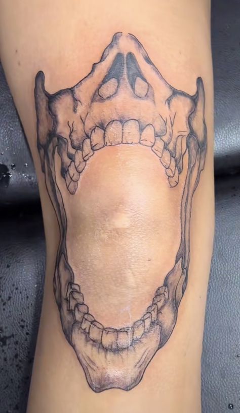 Jaw Bone Tattoo Knee, Skeleton Jaw Knee Tattoo, Skeleton Jaw Tattoo, Jaws Knee Tattoo, Dog Jaw Bone Tattoo, Human Jaw Tattoo, Knee Jaw Tattoo, Teeth Around Knee Tattoo, Skull Jaw Tattoo