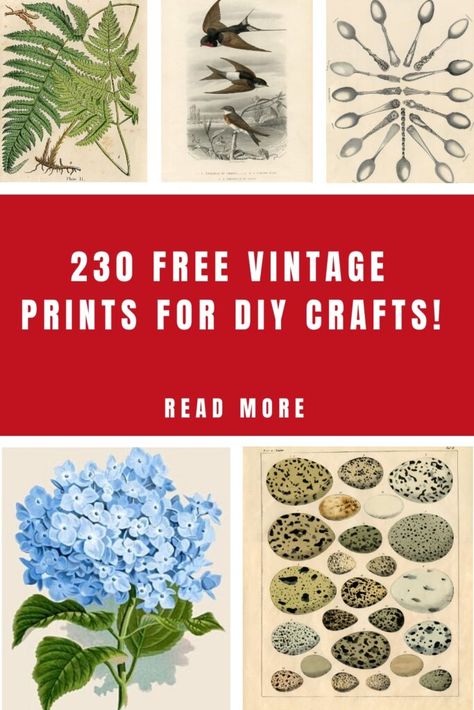 Vintage Art Deco Prints, Dollhouse Wall Art Free Printables, Free Victorian Printables, Decopage Prints Free Printable, Vintage Clip Art Free Printables, Decoupage Vintage Printables Free, Free Vintage Printables Public Domain, Vintage Prints Printable, Free Vintage Art