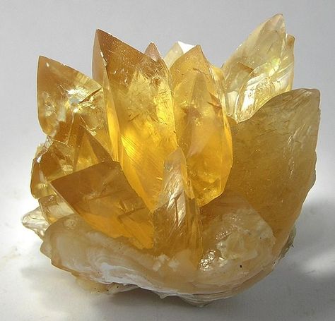 My Honey Calcite Crystal Mining Experience - Hibiscus Moon Crystal Academy | Crystal Healing | Crystal Healer | Crystal Therapy | Certified Crystal Healer | Crystal Grids | Crystal Healing Course Crystal Mining, Honey Calcite Crystal, Ancient Paper, Fort Drum, Yellow Crystals, Afternoon Light, My Honey, Crystal Aesthetic, Honey Calcite