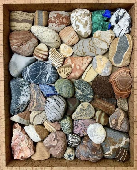 Rocks And Minerals Aesthetic, Rocks In Nature, Rock Collection Aesthetic, Geologist Aesthetic, Geology Aesthetic, Rock Collection Storage, Polished Rocks, Crystals Collection, Rocks And Fossils