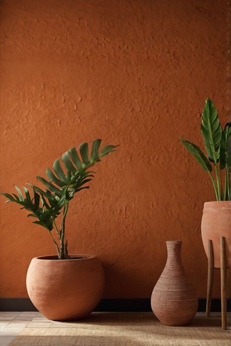 Get ready to transform your space with Terracotta Treasures! Discover the best colors for warm, earthy walls in this daily interior designer routine. #Ad #homedecor #homedesign #trendgirlApartment #Painthome #interiorarchitecture Wall Colors Green Room Colors
Bright Room Colors
Apartment Renovation
Home Remodeling
Modern Paint Colors
2024 Terracota Wall Color, Limewash Terracota, Teracota Interior Wall, Terra Cotta Accent Wall, Terracotta Wall Paint, Earth Tone Color Palette Living Rooms, Terracotta Wall Color, Green And Terracotta Color Scheme, Rust Walls