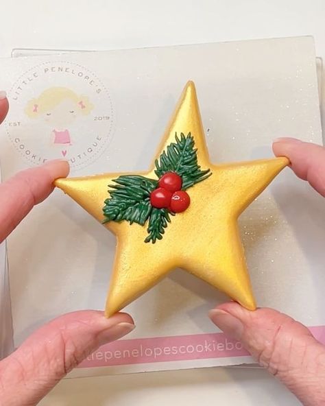 Victoria~Decorated Sugar Cookies~Keller,TX on Instagram: "This Christmas star cookie is so versatile and perfect for sets year round! Come decorate it with me in my nutcracker themed Christmas cookie decorating class! Details in bio! • • Cutter @night.owl.icing designed by @thecookiegallery Icing colors and Golden Halo Silver Pearl from @thesugarart -code LPC15 for discount! • • #christmascookies #goldenstar #christmascookiesfordays #cookiedecorating #cookiedecoratingvideo #cookieclass #decor Star Cutout Cookies, Decorated Star Cookies, Royal Icing Cookies Designs Christmas, Christmas Star Sugar Cookies, Star Sugar Cookies Decorated, Christmas Star Cookies Decorated, Star Christmas Cookies, Star Cookies Decorated, Christmas Star Cookies