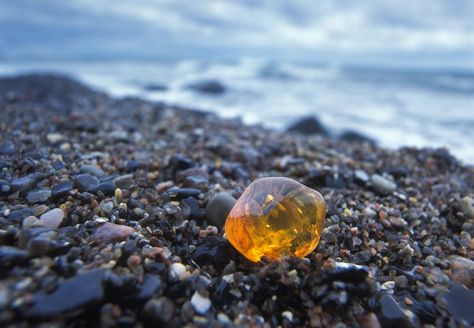 striking Amber Gemstone Aesthetic, Amber Stone Meaning, Gem Hunt, Rock Identification, Fossil Hunting, Rocks And Fossils, Rock Hunting, Gem Mining, Road Trip Destinations