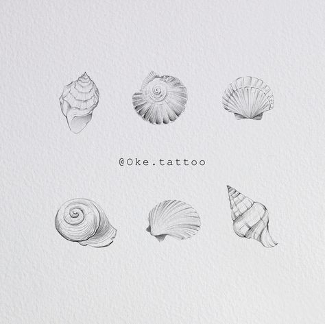 Wave And Seashell Tattoo, Realistic Seashell Tattoo, Seashell Stamp Tattoo, Minimal Seashell Tattoo, Fine Line Conch Shell Tattoo, Moon Shell Tattoo, Mini Seashell Tattoo, Ocean Stamp Tattoo, Nautalis Shell Tattoo