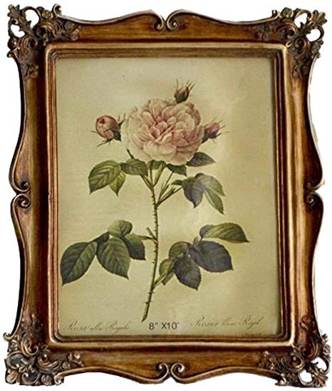 Wallet Size Picture, Victorian Picture Frames, Antique Photo Frames, Gothic Pictures, Mini Picture Frames, Small Picture Frames, Ornate Picture Frames, Antique Picture Frames, 5x7 Picture Frames