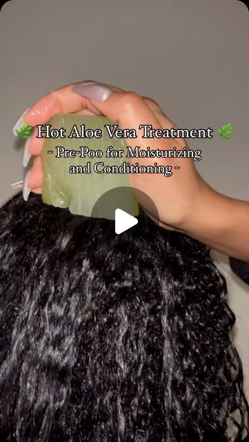 Dry Scalp Black Women, Pre Poo Natural Hair Recipes Diy, Aloe Vera Pre Poo Natural Hair, How To Use Aloe Vera For Hair, Pre Poo Natural Hair Recipes, Aloe Vera On Hair, Prepoo Natural Hair, How To Take Care Of Your Hair, Hair Mask With Aloe Vera