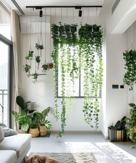 9 BEST Ideas for Indoor Hanging Plants [Types, Light, Water, Humidity, Pet Safety] Indoor Plants For Oxygen, Plants Types, Indoor Hanging Plants, Water Plants Indoor, Square Planter Boxes, Wall Hanging Decorations, Metal Planter Boxes, Plants Wall, Indoor Climbing