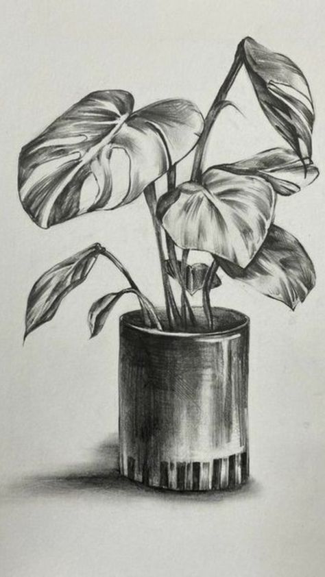 Simple Shading Drawing Sketch, Drawing Ideas Still Life, Still Life Shading Drawing, Sketch Ideas Still Life, Still Life With Pencil Shading, Sketching Ideas Pencil Nature, Still Life Ideas Drawing, Charcoal Art Still Life, Pencil Shade Drawing