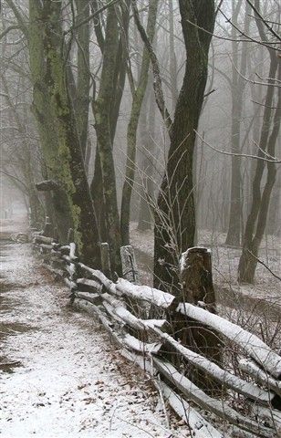 North Carolina mountains near Maggie Valley Winter Szenen, Winter Magic, Winter Scenery, Winter Beauty, Snow Scenes, Winter Pictures, Winter Wonder, Winter Landscape, Winter Scenes