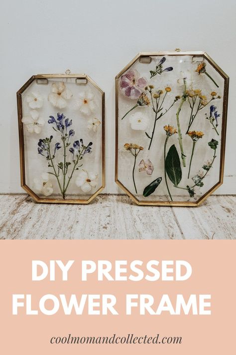 Dried Flowers In Acrylic, Preserving Dried Flowers Spray, Preserve Flowers In Frame, Pressing Flowers Diy Frame, How To Dry And Press Flowers, How To Press Flowers In A Frame, Preserved Flowers Frame, Flower Wall Art Diy, Dried Flowers Crafts