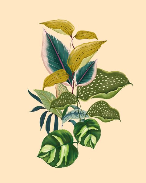 Art | Artfully Walls Watercolor Flower Prints, Tropical Art Print, Watercolour Flower, Wild Berries, Seed Heads, Artfully Walls, Flamingo Art, Tropical Foliage, Geometric Art Prints