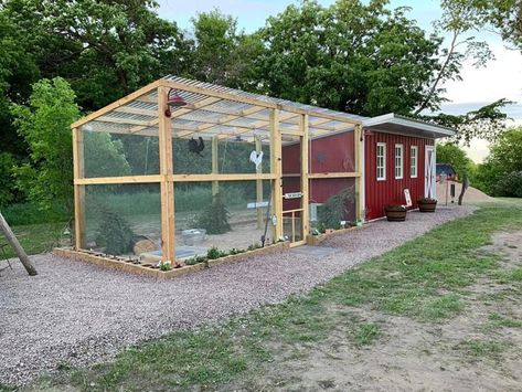 Modern DIY Chicken Run Chicken Run Ideas, Chicken Coop Building Plans, Chicken Coop Designs Diy, Building A Chicken Run, Chicken Coop Pallets, Cute Chicken Coops, Walk In Chicken Coop, Chicken Coop Garden, Chicken Shed